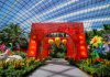 6 Fun Happenings At Gardens by the Bay 6 Fun Happenings - Dahlia Dreams