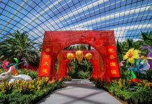 6 Fun Happenings At Gardens by the Bay 6 Fun Happenings - Dahlia Dreams