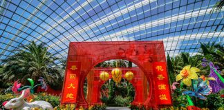 6 Fun Happenings At Gardens by the Bay 6 Fun Happenings - Dahlia Dreams