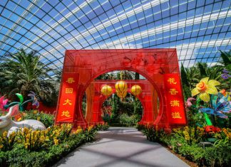 6 Fun Happenings At Gardens by the Bay 6 Fun Happenings - Dahlia Dreams