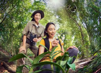 5 Celebratory Experiences To Mark Sentosa’s Golden Jubilee Sentosa Golden Jubilee SentoSights