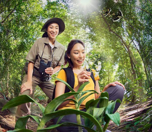 5 Celebratory Experiences To Mark Sentosa’s Golden Jubilee Sentosa Golden Jubilee SentoSights