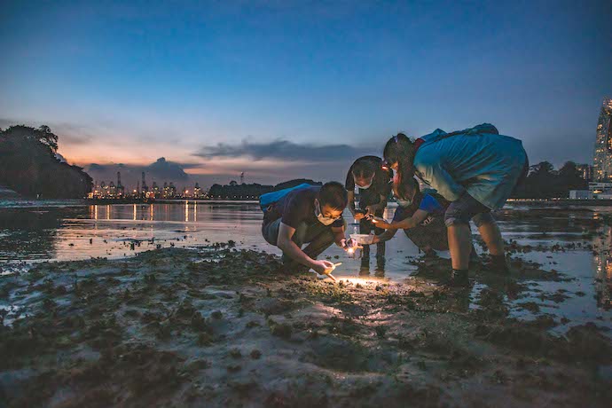 Sentosa Golden Jubilee -SentoSights