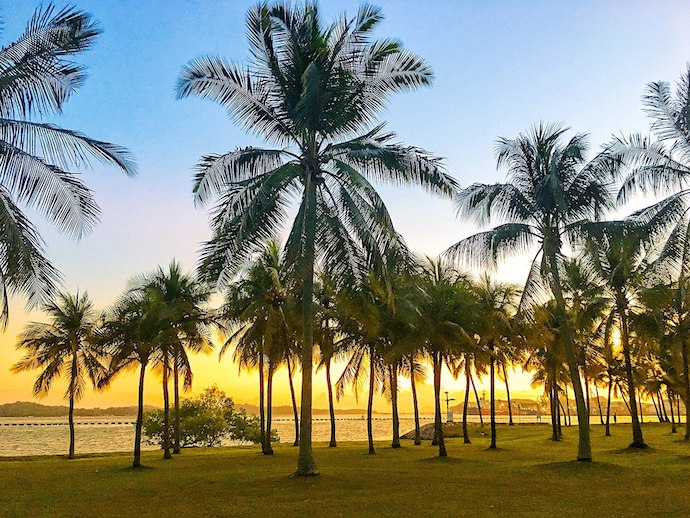 Sunrise & Sunset Pasir Ris Park_cattan2011