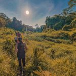 5 Hidden Trails Off-The-Beaten Track To Explore In Singapore Hidden Trails - Clementi Forest