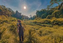 5 Hidden Trails Off-The-Beaten Track To Explore In Singapore Hidden Trails - Clementi Forest