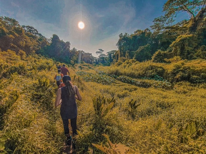 Hidden Trails - Clementi Forest