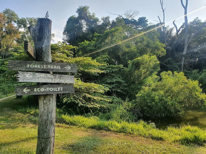 Hidden Trails - Tampines Eco Green
