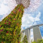 Top 8 Experiential Walking Trails For Exploring Singapore’s Best Sights Top 8 Experiential Walking Trails - Gardens by the Bay