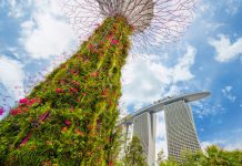 Top 8 Experiential Walking Trails For Exploring Singapore’s Best Sights Top 8 Experiential Walking Trails - Gardens by the Bay