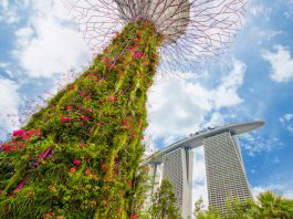 Top 8 Experiential Walking Trails For Exploring Singapore’s Best Sights Top 8 Experiential Walking Trails - Gardens by the Bay