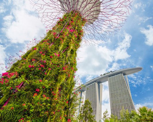 Top 8 Experiential Walking Trails For Exploring Singapore’s Best Sights Top 8 Experiential Walking Trails - Gardens by the Bay