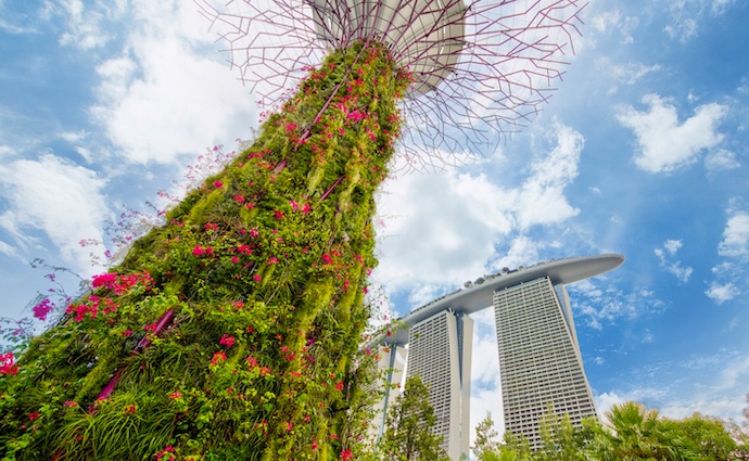 Top 8 Experiential Walking Trails - Gardens by the Bay