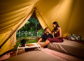 5 Wild Encounters At Jurong Bird Park’s Staycation With The Flamingos