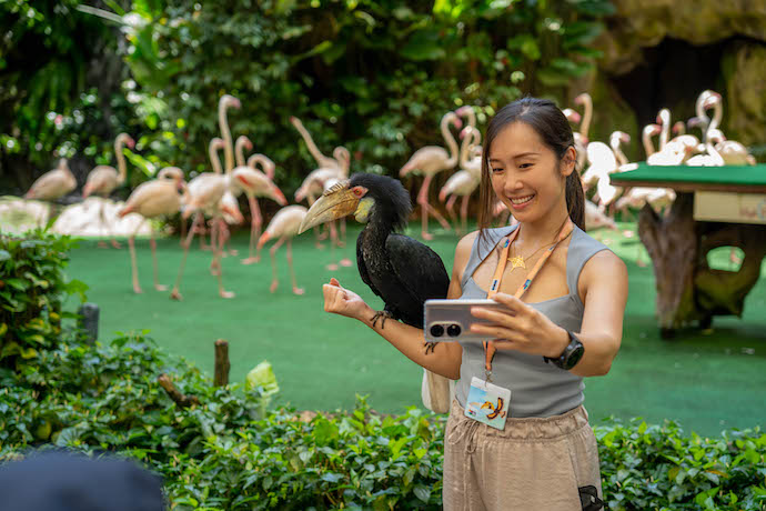 5 Wild Encounters At Jurong Bird Park staycation - High Flyers Show