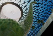4 Fun Ways To Play With Dinos At Jewel Changi Airport’s New Dino-Themed AR Attraction 4 Fun Ways To Play With At Jewel Changi Airport Dinos