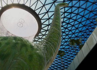 4 Fun Ways To Play With Dinos At Jewel Changi Airport’s New Dino-Themed AR Attraction 4 Fun Ways To Play With At Jewel Changi Airport Dinos