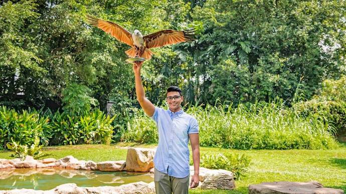 5 Wild Encounters At Jurong Bird Park staycation - Raptor Encounter