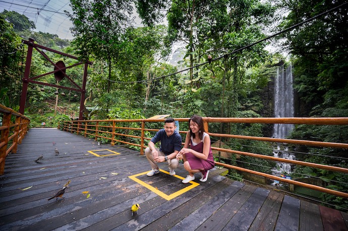 5 Wild Encounters At Jurong Bird Park staycation - Waterfall Aviary