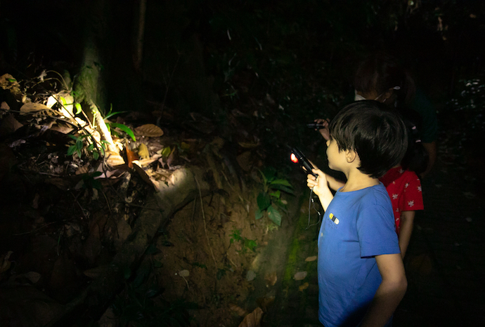 Wellness Festival Singapore - Introspective Evening Forest Walk