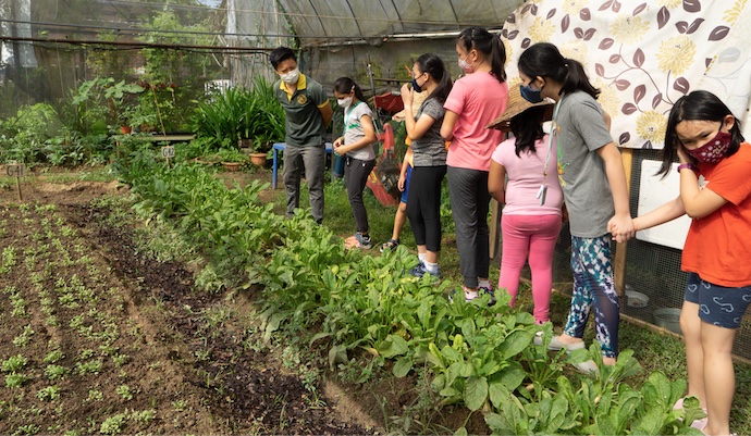 Wellness Festival Singapore - Kampung Fun Family Adventure