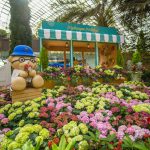 5 Fun Things To Do This Month 5 Fun Things To Do This Month - Hydrangea Holidays