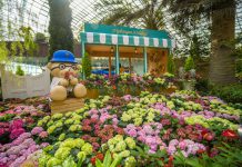 5 Fun Things To Do This Month 5 Fun Things To Do This Month - Hydrangea Holidays