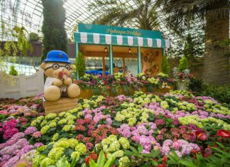 5 Fun Things To Do This Month 5 Fun Things To Do This Month - Hydrangea Holidays