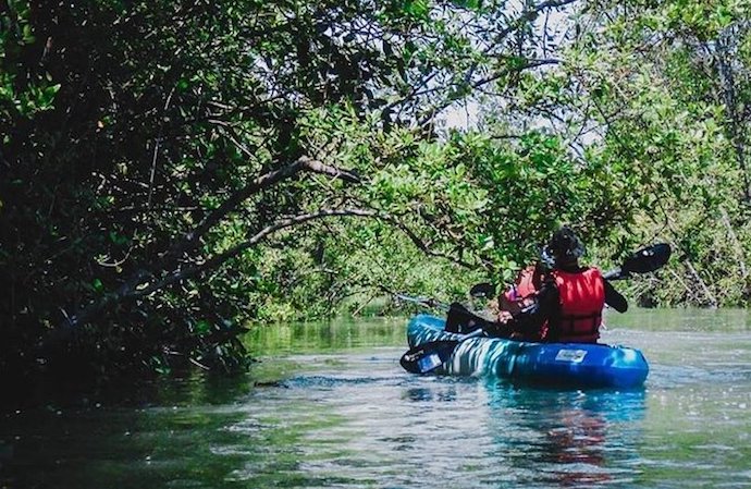 5 Things To See & Do At Pulau Ubin - Kayaking through the mangroves