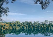 5 Things To See & Do At Pulau Ubin 5 Things To See & Do At Pulau Ubin - Puaka Hill