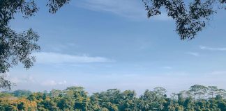 5 Things To See & Do At Pulau Ubin 5 Things To See & Do At Pulau Ubin - Puaka Hill