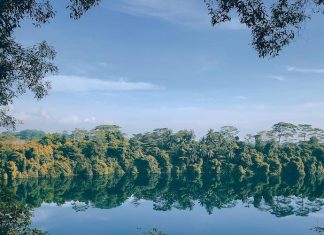 5 Things To See & Do At Pulau Ubin 5 Things To See & Do At Pulau Ubin - Puaka Hill