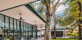 7 Best Garden Restaurants & Cafes In Singapore For Green Views While You Dine 7 Best Garden Restaurants & Cafes In Singapore - Hub & Spoke Cafe