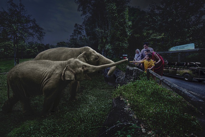 10 Exciting Things To Do In Singapore This October - Night Safari