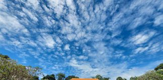 4 Ways To Enjoy Vacay Vibes At Sofitel Singapore Sentosa Resort & Spa 4 Ways To Enjoy Vacay Vibes At Sofitel Singapore Sentosa Resort & Spa - Lavish Gardens