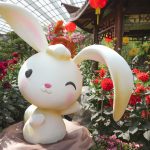 5 Reasons to Visit Gardens by the Bay This Month 5 Reasons to Visit Gardens by the Bay This Month - Dahlia Dreams