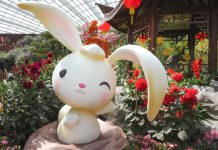 5 Reasons to Visit Gardens by the Bay This Month 5 Reasons to Visit Gardens by the Bay This Month - Dahlia Dreams