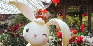 5 Reasons to Visit Gardens by the Bay This Month 5 Reasons to Visit Gardens by the Bay This Month - Dahlia Dreams