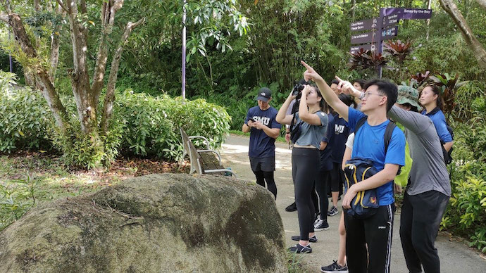 5 Reasons to Visit Gardens by the Bay This Month - Nature & Sustainability Tours