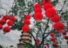 11 Best Things To Do In Sibu, East Malaysia 11 Best Things To Do In Sibu, East Malaysia - Tua Pek Kong Temple
