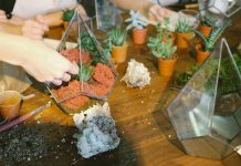 6 Fun Green Workshops To Sign Up For In Singapore 6 Fun Green Workshops To Sign Up For In Singapore