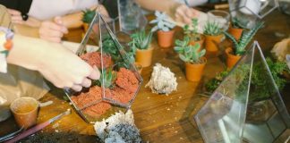 6 Fun Green Workshops To Sign Up For In Singapore 6 Fun Green Workshops To Sign Up For In Singapore