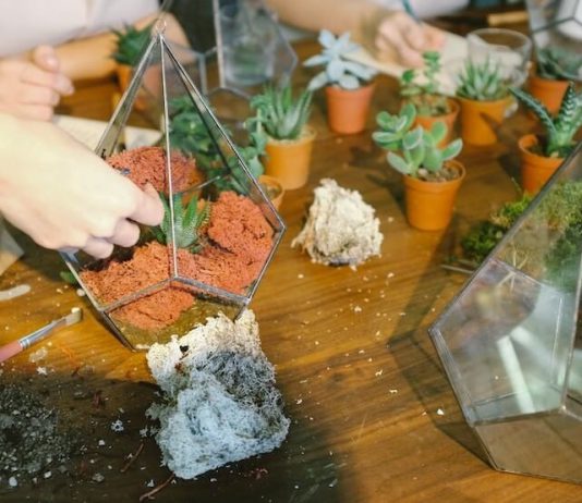 6 Fun Green Workshops To Sign Up For In Singapore 6 Fun Green Workshops To Sign Up For In Singapore