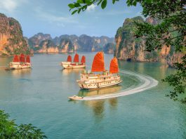 3 Best Things To Do In Hanoi, Halong Bay & Sapa In One Week 3 Best Things To Do In Hanoi, Halong Bay & Sapa In One Week - Halong Bay