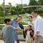 8 Best Things To See & Do At Bird Paradise 8 Best Things To See & Do At Bird Paradise - Kuok Group Wings of Asia