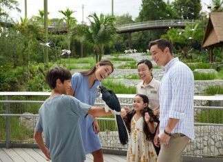 8 Best Things To See & Do At Bird Paradise 8 Best Things To See & Do At Bird Paradise - Kuok Group Wings of Asia