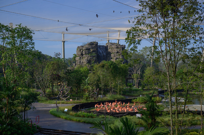 8 Best Things To See & Do At The New Bird Paradise - Hong Leong Foundation Crimson Wetlands