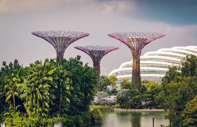 6 Beautiful Gardens In Singapore To Restore Your Mind & Soul - Gardens by the Bay