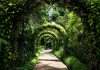 6 Beautiful Gardens In Singapore To Restore Your Mind & Soul 6 Beautiful Gardens In Singapore To Restore Your Mind & Soul - Singapore Botanic Gardens