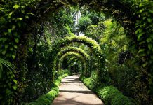 6 Beautiful Gardens In Singapore To Restore Your Mind & Soul 6 Beautiful Gardens In Singapore To Restore Your Mind & Soul - Singapore Botanic Gardens